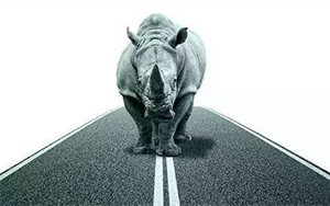 臣通觀點(diǎn)丨小心，中國(guó)產(chǎn)業(yè)園區(qū)的“灰犀?！庇謥?lái)了！